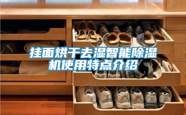 掛面烘干去濕智能除濕機使用特點介紹