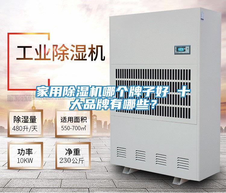 家用除濕機哪個牌子好 十大品牌有哪些?