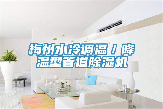 梅州水冷調溫／降溫型管道除濕機
