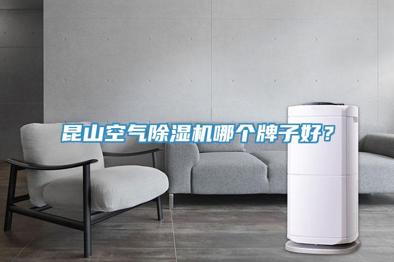 昆山空氣除濕機哪個牌子好？