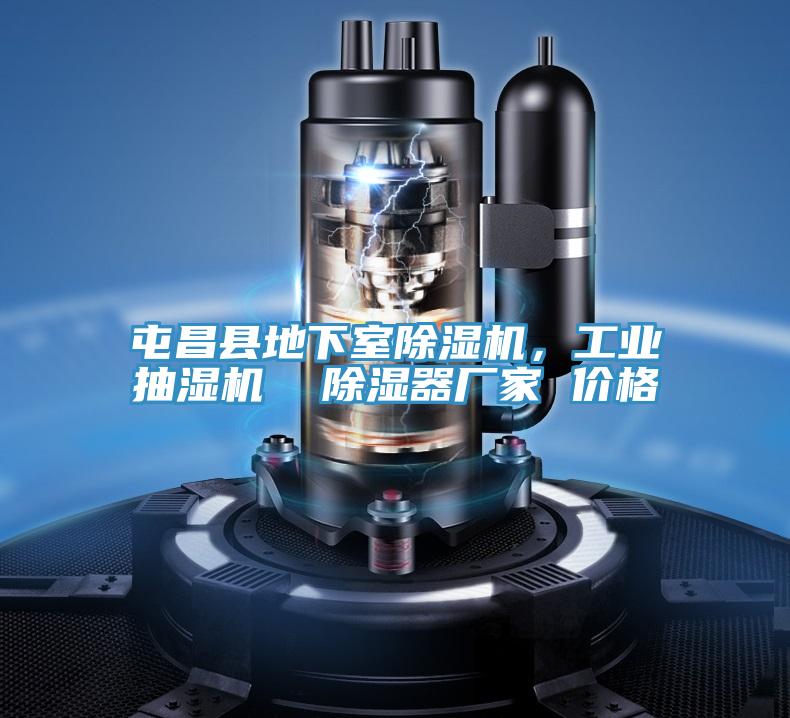 屯昌縣地下室除濕機，工業抽濕機  除濕器廠家 價格