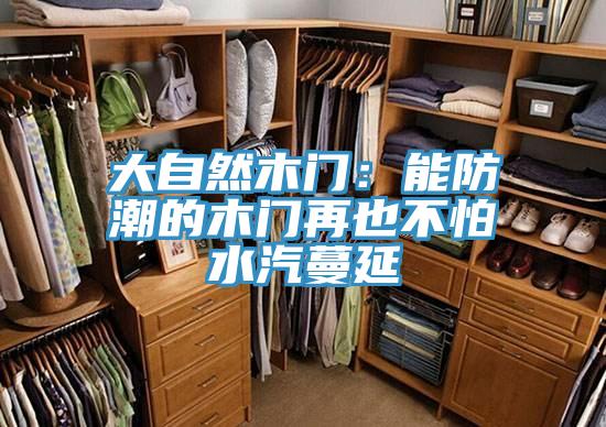 大自然木門：能防潮的木門再也不怕水汽蔓延