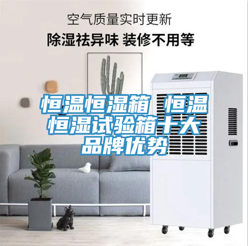 恒溫恒濕箱 恒溫恒濕試驗箱十大品牌優勢