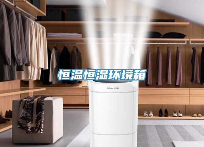 恒溫恒濕環境箱