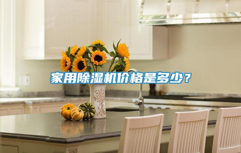 家用除濕機價格是多少？