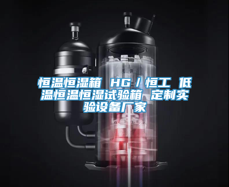 恒溫恒濕箱 HG／恒工 低溫恒溫恒濕試驗箱 定制實驗設(shè)備廠家
