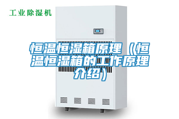 恒溫恒濕箱原理（恒溫恒濕箱的工作原理介紹）