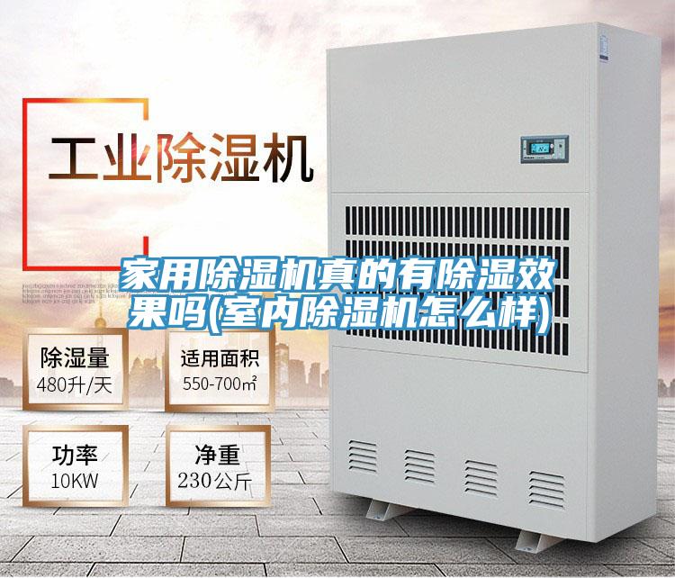 家用除濕機真的有除濕效果嗎(室內除濕機怎么樣)