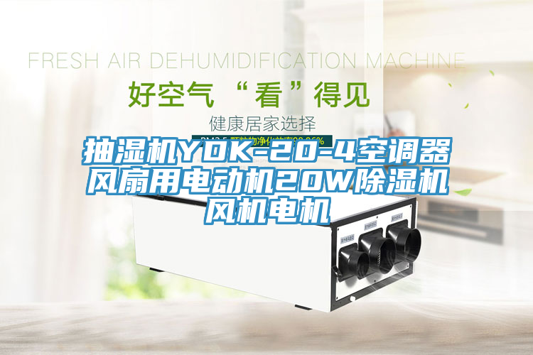 抽濕機YDK-20-4空調(diào)器風(fēng)扇用電動機20W除濕機風(fēng)機電機