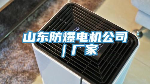 山東防爆電機公司｜廠家