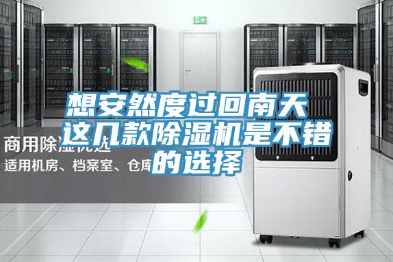 想安然度過回南天 這幾款除濕機是不錯的選擇