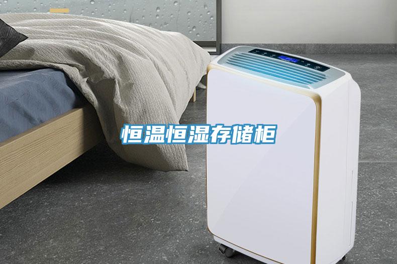 恒溫恒濕存儲柜