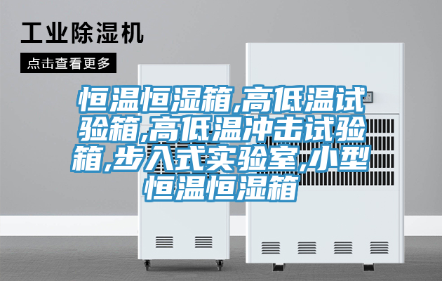 恒溫恒濕箱,高低溫試驗箱,高低溫沖擊試驗箱,步入式實驗室,小型恒溫恒濕箱