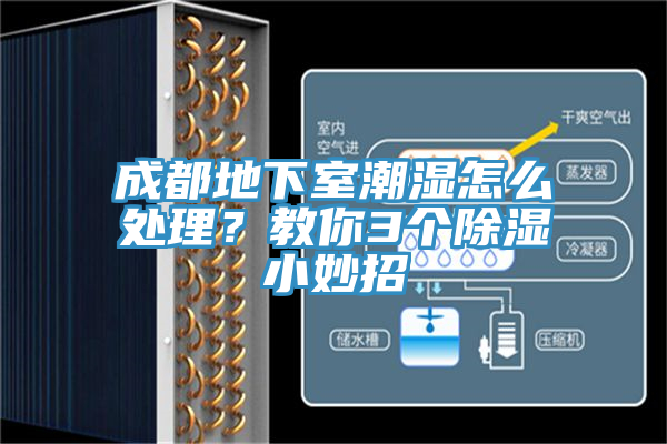 成都地下室潮濕怎么處理？教你3個除濕小妙招