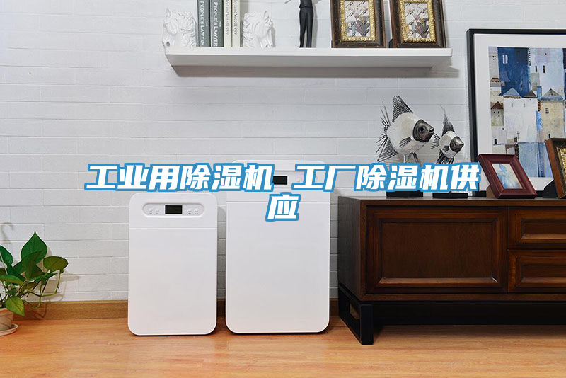 工業用除濕機 工廠除濕機供應