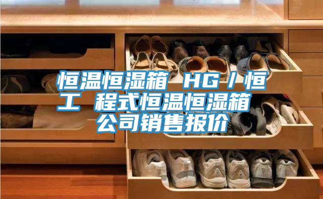 恒溫恒濕箱 HG／恒工 程式恒溫恒濕箱 公司銷售報價