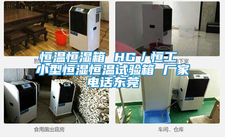 恒溫恒濕箱 HG／恒工 小型恒濕恒溫試驗箱 廠家電話東莞
