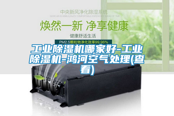 工業(yè)除濕機哪家好-工業(yè)除濕機-鴻河空氣處理(查看)