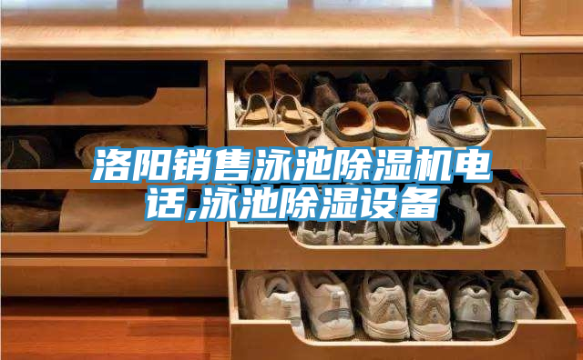 洛陽銷售泳池除濕機電話,泳池除濕設備