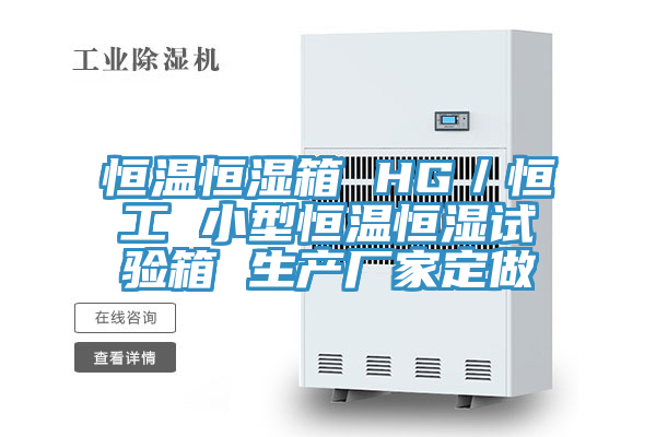 恒溫恒濕箱 HG／恒工 小型恒溫恒濕試驗箱 生產(chǎn)廠家定做