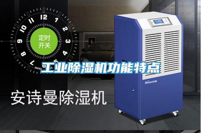 工業(yè)除濕機(jī)功能特點