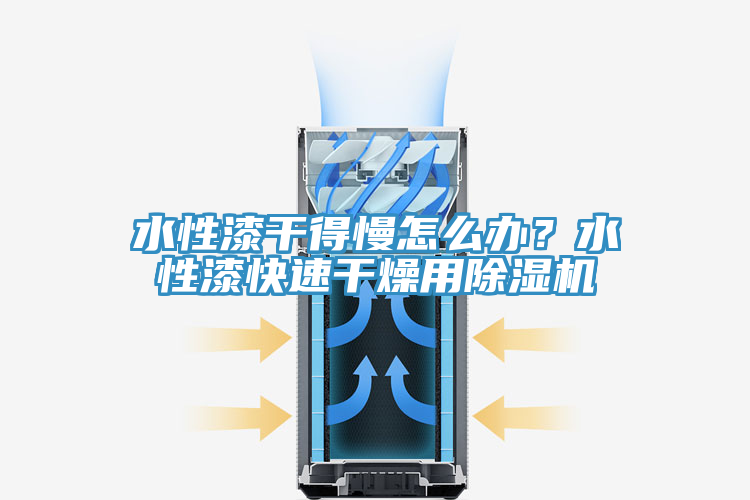 水性漆干得慢怎么辦？水性漆快速干燥用除濕機