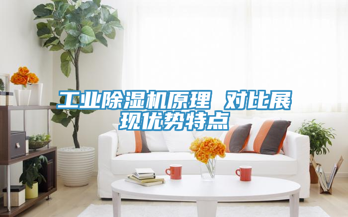 工業除濕機原理 對比展現優勢特點