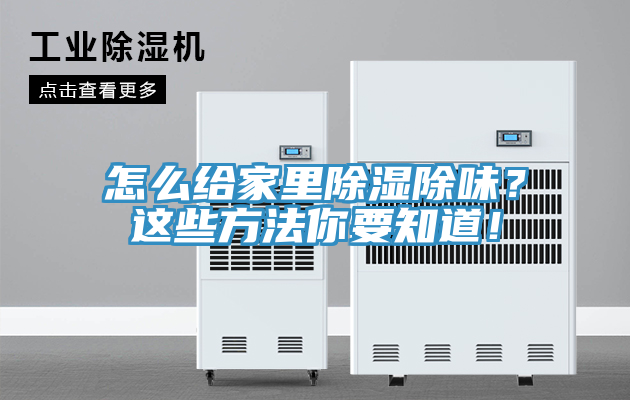怎么給家里除濕除味？這些方法你要知道！