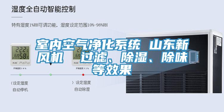 室內空氣凈化系統 山東新風機  過濾、除濕、除味等效果