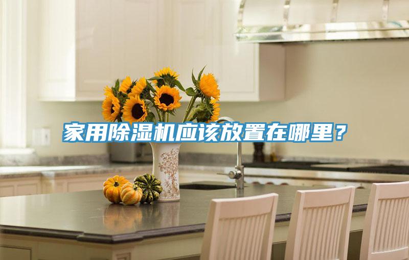 家用除濕機(jī)應(yīng)該放置在哪里？