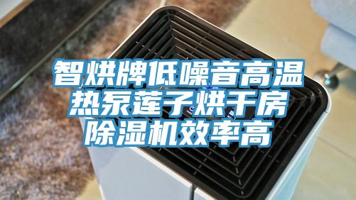 智烘牌低噪音高溫熱泵蓮子烘干房除濕機效率高