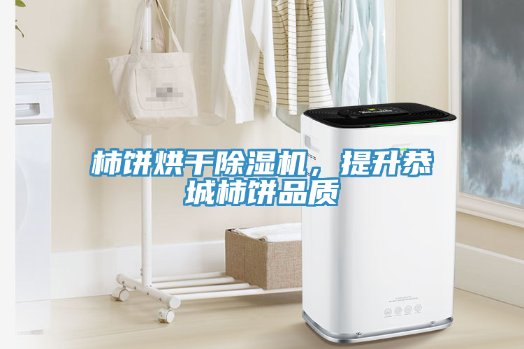 柿餅烘干除濕機(jī)，提升恭城柿餅品質(zhì)