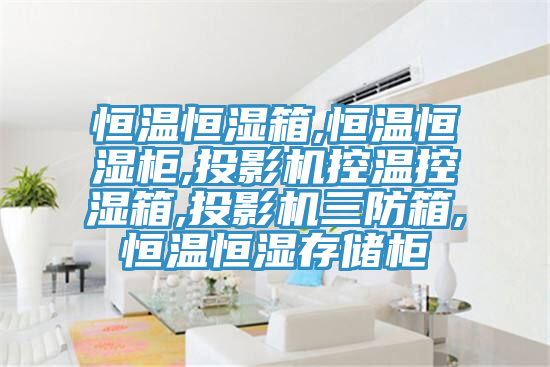 恒溫恒濕箱,恒溫恒濕柜,投影機控溫控濕箱,投影機三防箱,恒溫恒濕存儲柜