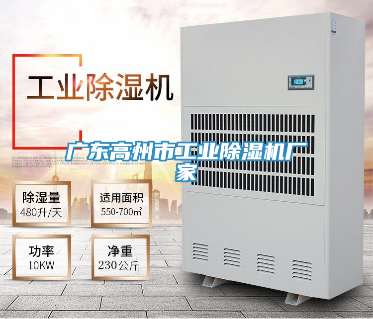 廣東高州市工業除濕機廠家