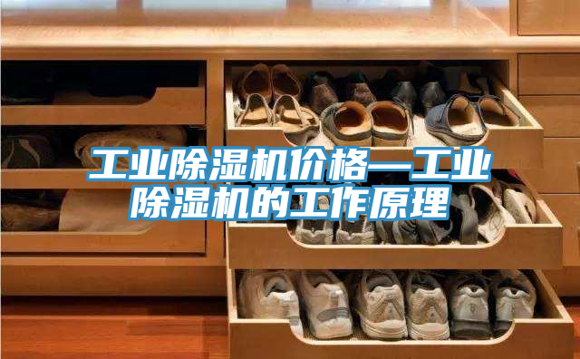 工業(yè)除濕機(jī)價(jià)格—工業(yè)除濕機(jī)的工作原理