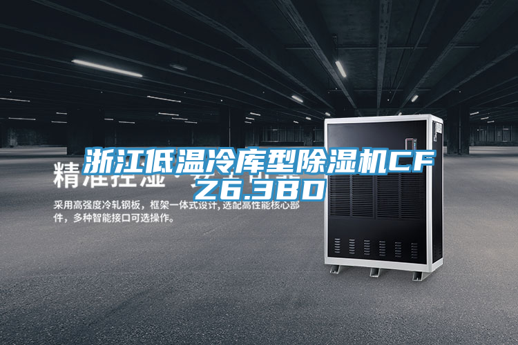浙江低溫冷庫型除濕機CFZ6.3BD