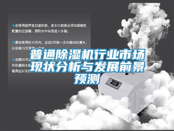 普通除濕機行業(yè)市場現(xiàn)狀分析與發(fā)展前景預測