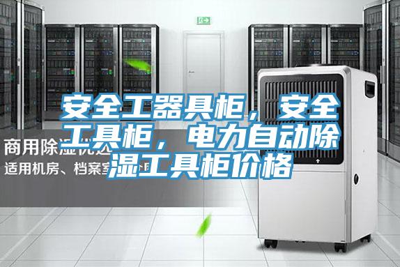 安全工器具柜，安全工具柜，電力自動除濕工具柜價格