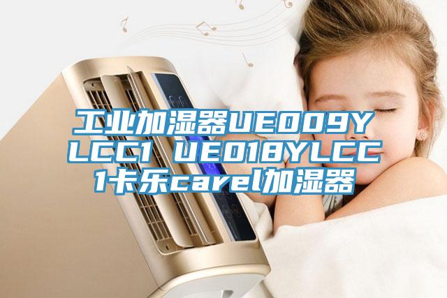 工業加濕器UE009YLCC1 UE018YLCC1卡樂carel加濕器