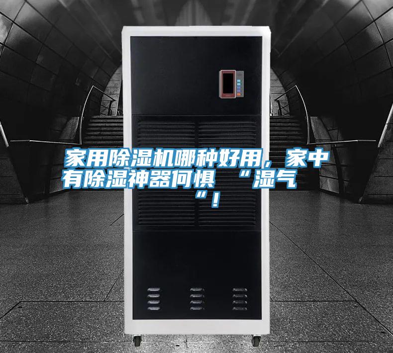 家用除濕機哪種好用，家中有除濕神器何懼 “濕氣 “！
