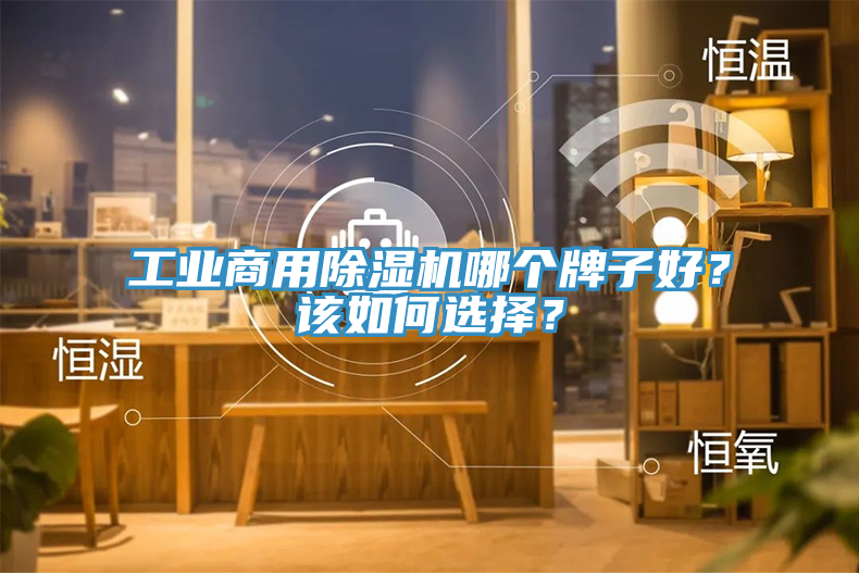 工業(yè)商用除濕機哪個牌子好？該如何選擇？