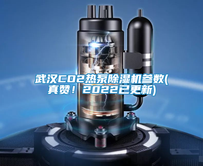 武漢CO2熱泵除濕機參數(真贊！2022已更新)