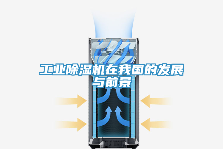 工業(yè)除濕機(jī)在我國的發(fā)展與前景