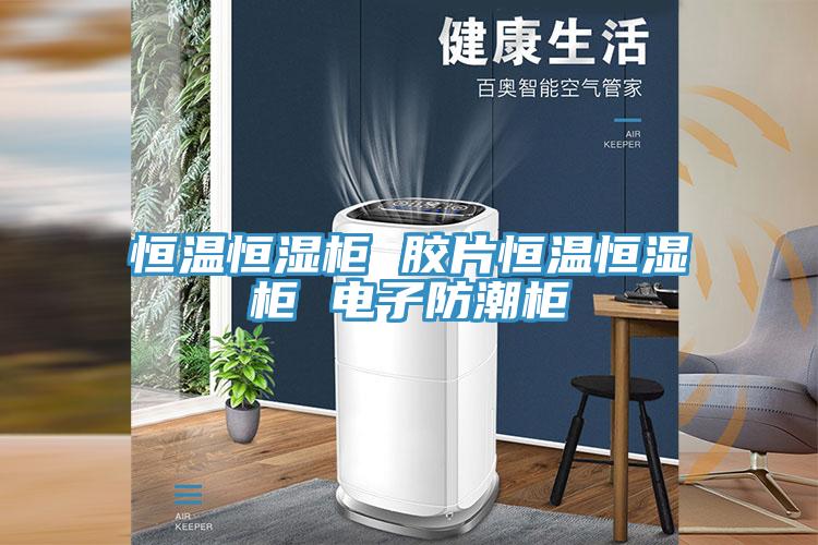 恒溫恒濕柜 膠片恒溫恒濕柜 電子防潮柜