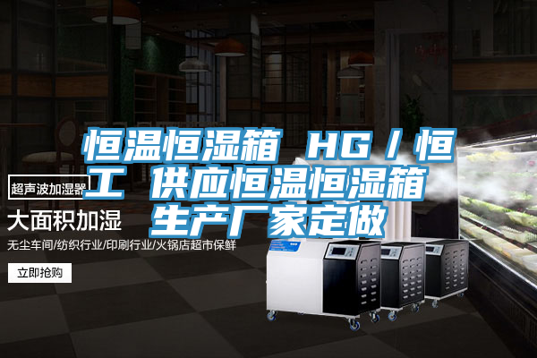 恒溫恒濕箱 HG／恒工 供應(yīng)恒溫恒濕箱 生產(chǎn)廠家定做