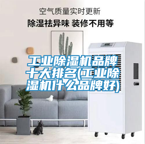 工業除濕機品牌十大排名(工業除濕機什么品牌好)