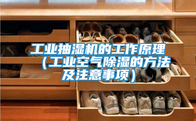 工業(yè)抽濕機(jī)的工作原理（工業(yè)空氣除濕的方法及注意事項(xiàng)）