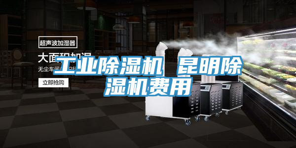 工業除濕機 昆明除濕機費用