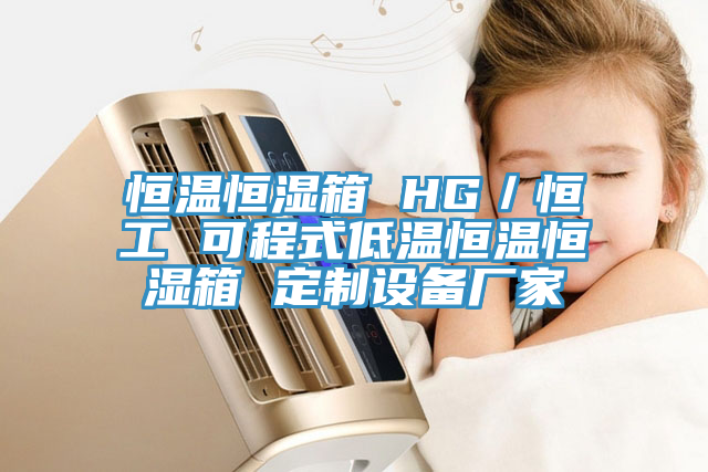 恒溫恒濕箱 HG／恒工 可程式低溫恒溫恒濕箱 定制設(shè)備廠家