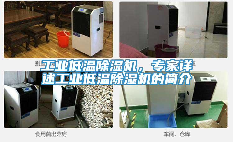 工業(yè)低溫除濕機，專家詳述工業(yè)低溫除濕機的簡介